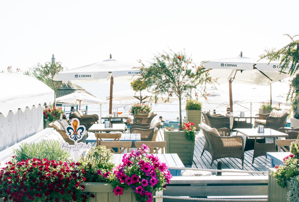 outdoor patio with plants and flowers